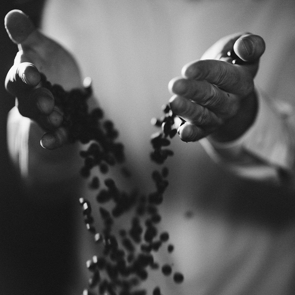 A man is holding coffee bean