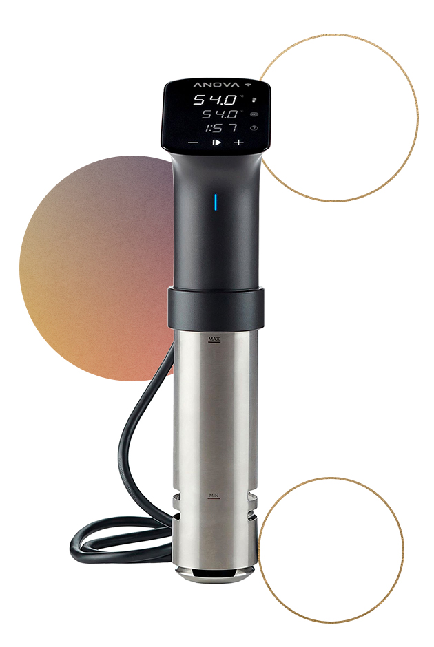 Anova Precision Cooker Pro