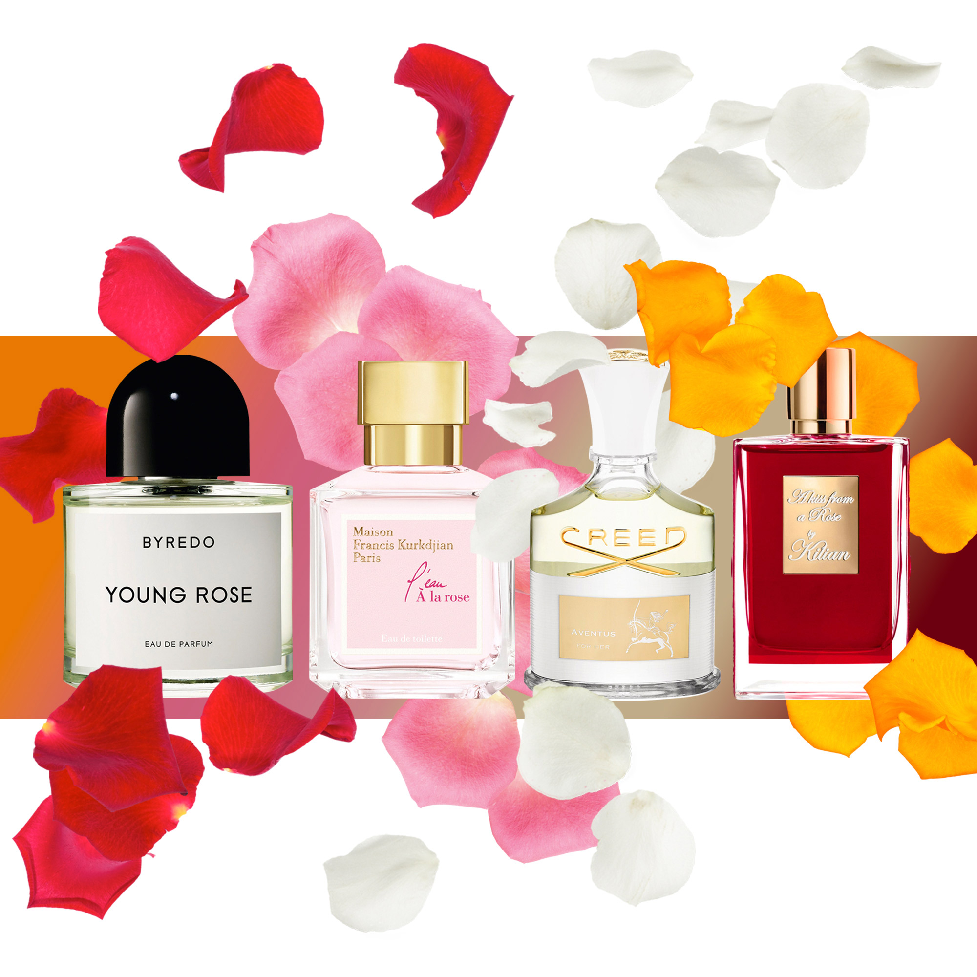 Rose Scents Decoded