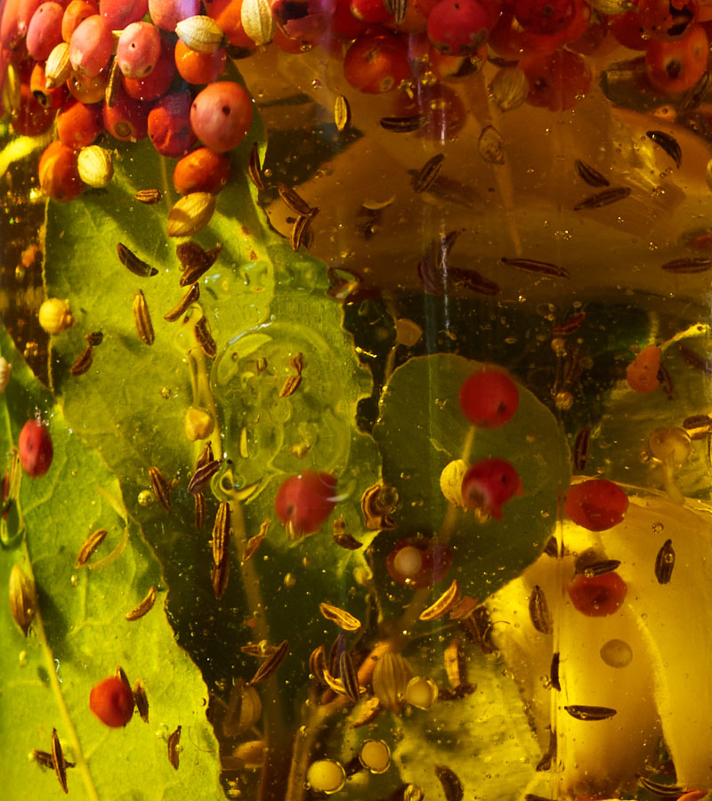 Detail of ingredients in an olive oil bottle