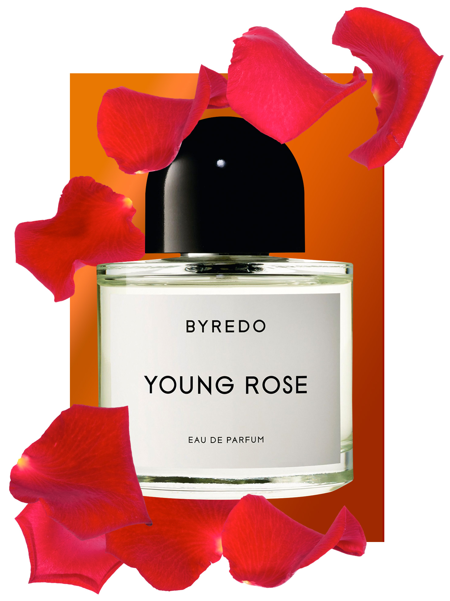 Byredo Young Rose Perfume