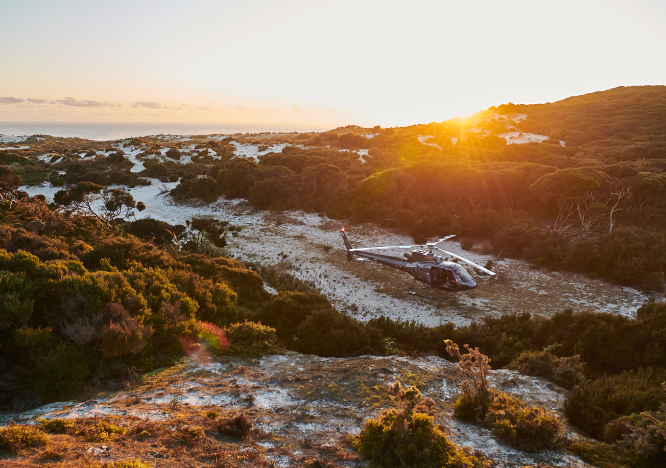 manuka