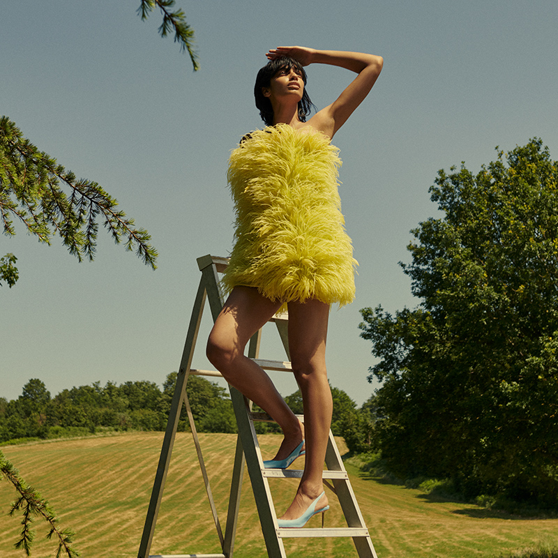 Woman in a yellow feather dress standing on top of a ladder in a field